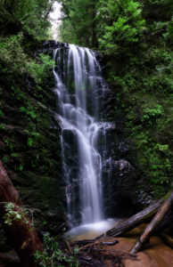 Photo of waterfall, Big Basin, California, by visionbypixels.com