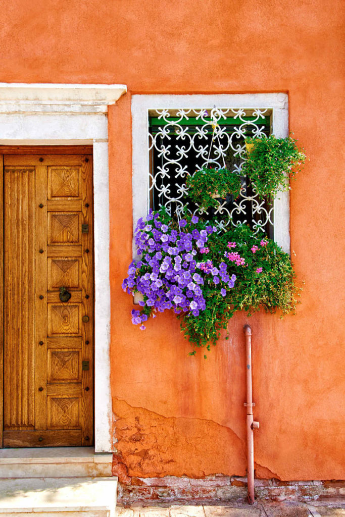 Photo of flowers bursting from a window grid in Venice, Italy.