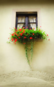 Photo of a box planter in a window, Rothenburg ob der Tauber, Germany, by visionbypixels.com