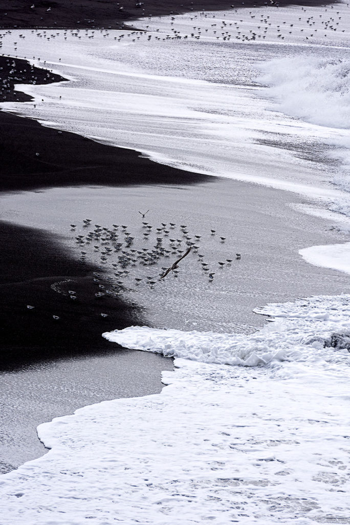 Pacifica Seashore I