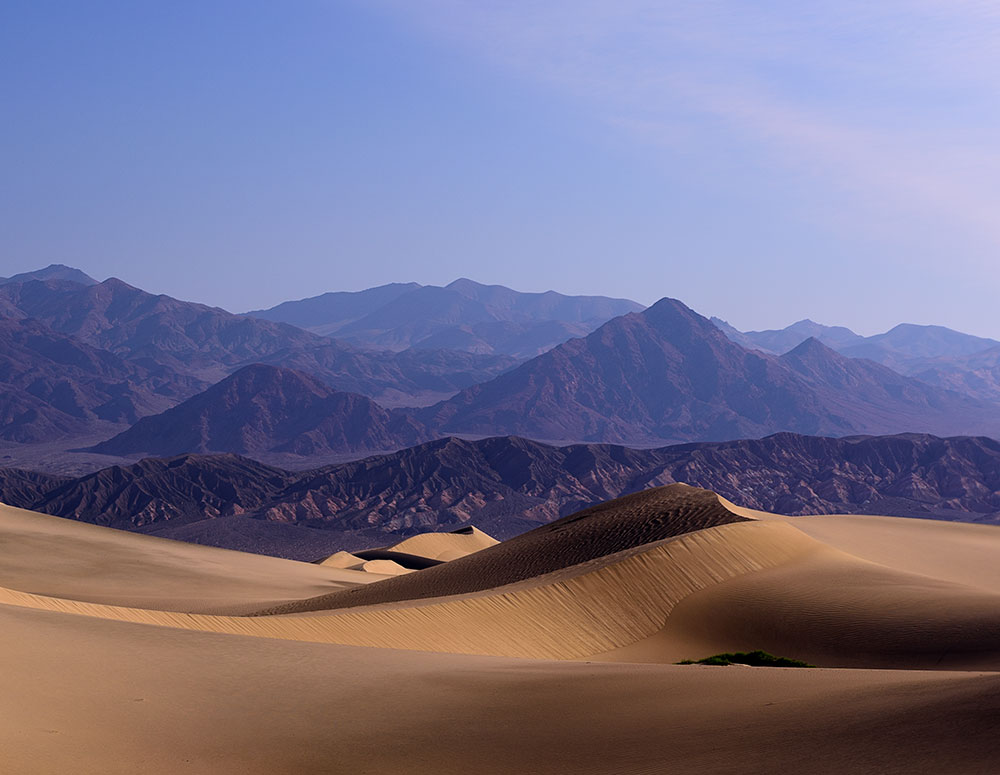 Morning at Mesquite Dunes